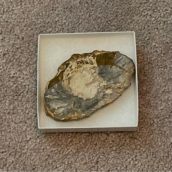 Petrified wood small slab fossil - Picture 4 of 6